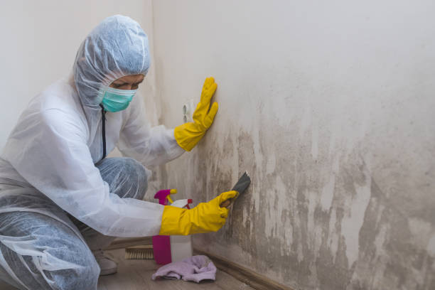 Best Bathroom Mold Remediation in Saginaw, TX